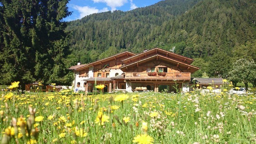 Hotel Maso Del Brenta 卡德尔佐内 外观 照片
