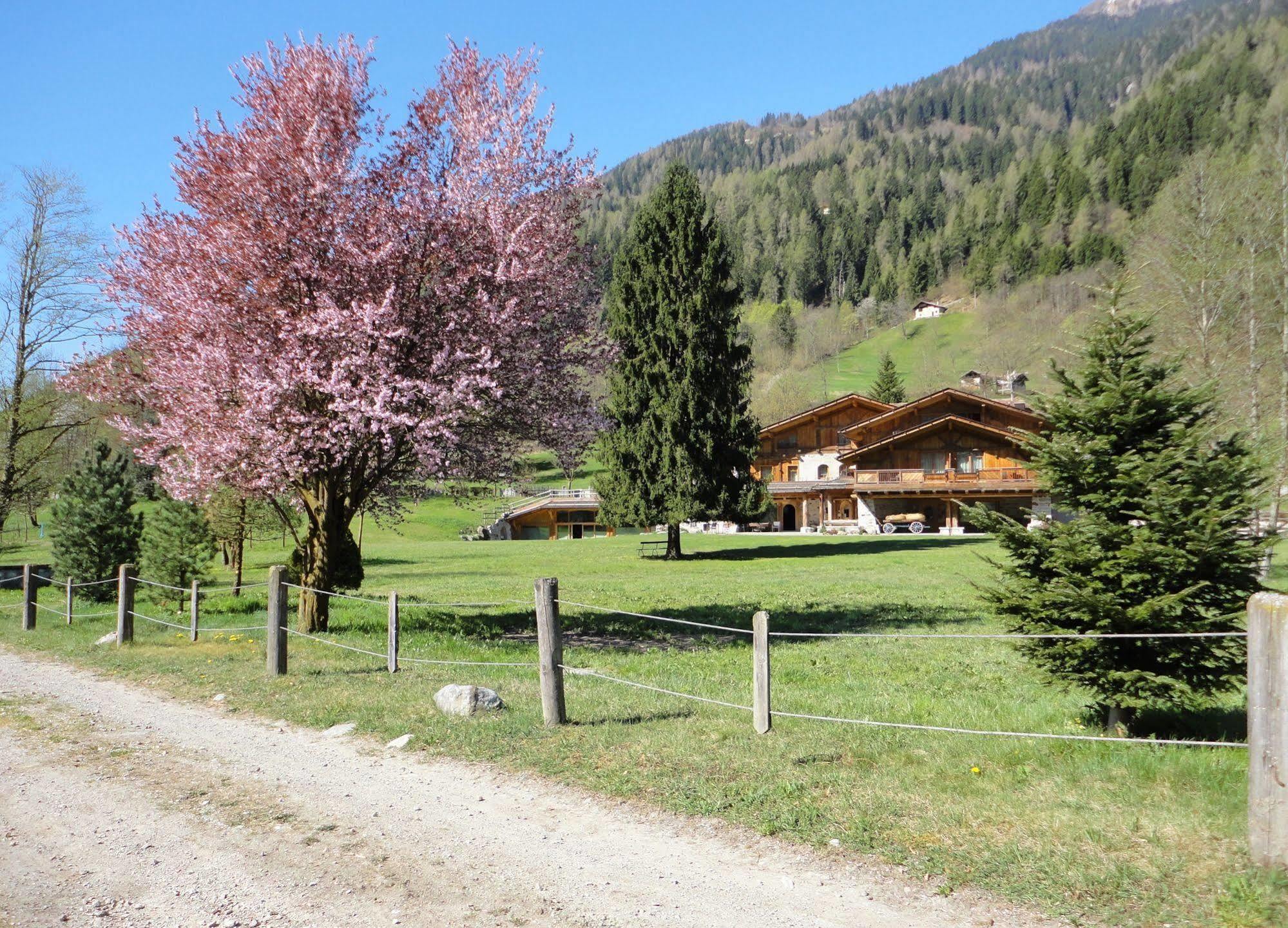 Hotel Maso Del Brenta 卡德尔佐内 外观 照片